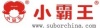中山市小霸王教育电子有限公司