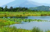 淮南市十涧湖国家城市湿地公园生态建设项目招标