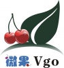 广州市微果电子有限公司