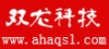 安徽安庆双龙电子科技有限公司