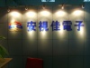 深圳安视佳电子有限公司