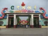 万佳安烟草行业网络视频解决方案