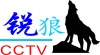 深圳市锐狼安防有限公司