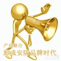 产业整合，形成安防品牌时代