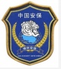 上海啸林安保特卫服务公司