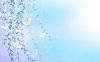 深圳华远电子防护工程有限公司