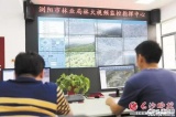 浏阳市建成长沙首个林火监控系统