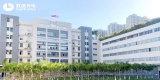 向阳而生 蓄力成林丨联建光电眼中，岂止“十年”树木