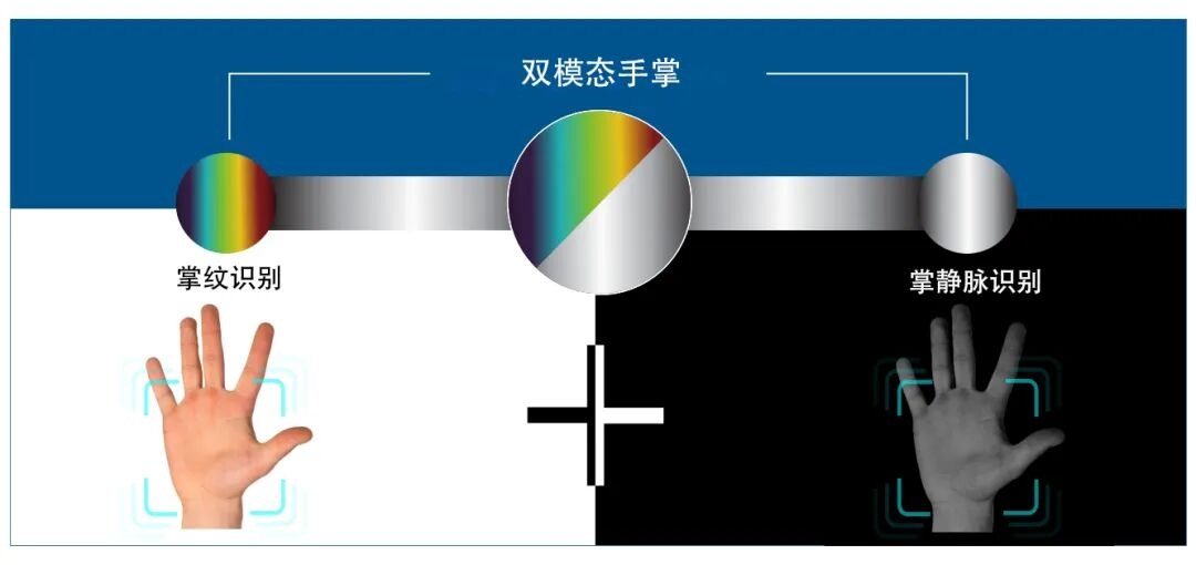 当我们谈论 [刷掌] 时，我们谈些什么？